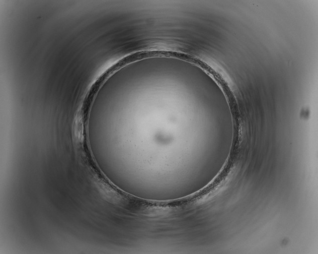 X0000102860925200808181437