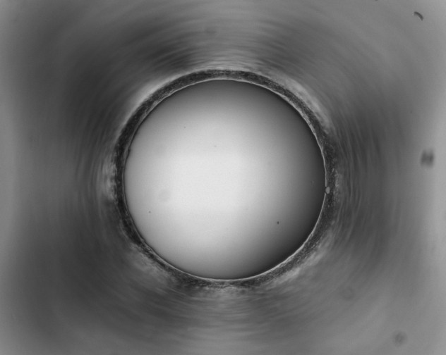 X0000102860926200808181437