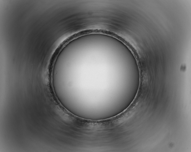 X0000102860927200808181437