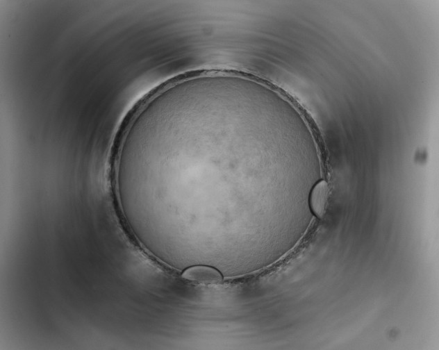 X0000102860928200808181437