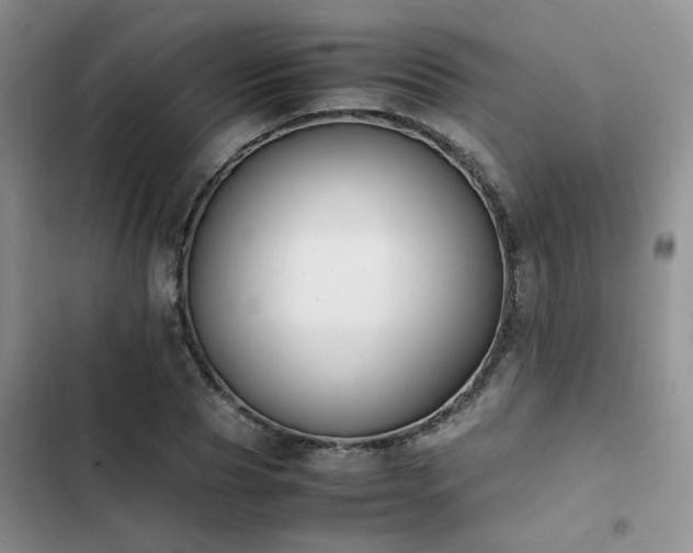 X0000102860929200808181437