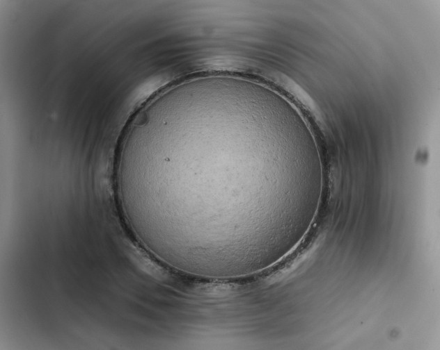 X0000102860930200808181437