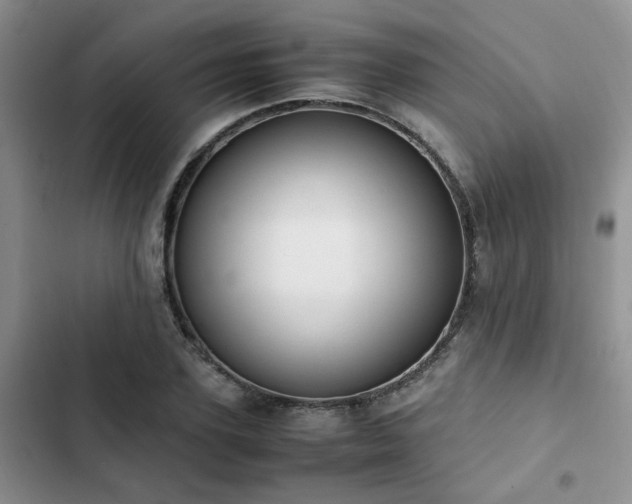 X0000102860931200808181437