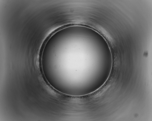 X0000102860932200808181437