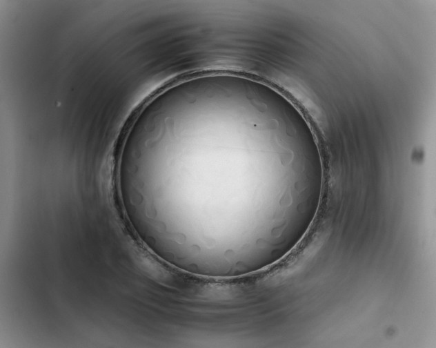 X0000102860933200808181437