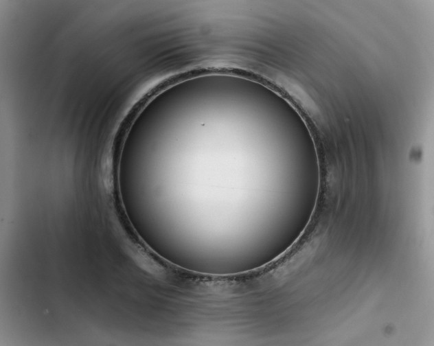 X0000102860934200808181437