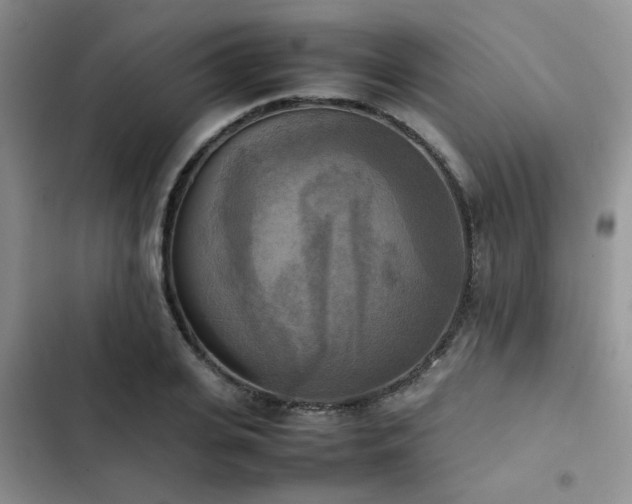 X0000102860935200808181438