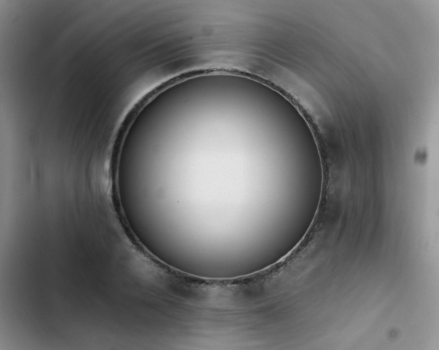 X0000102860936200808181438