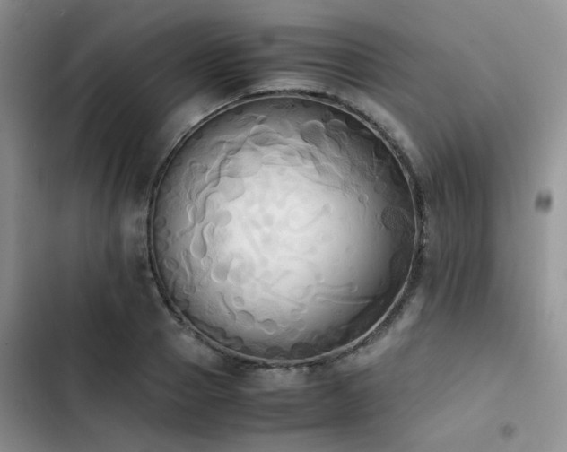 X0000102860937200808181438