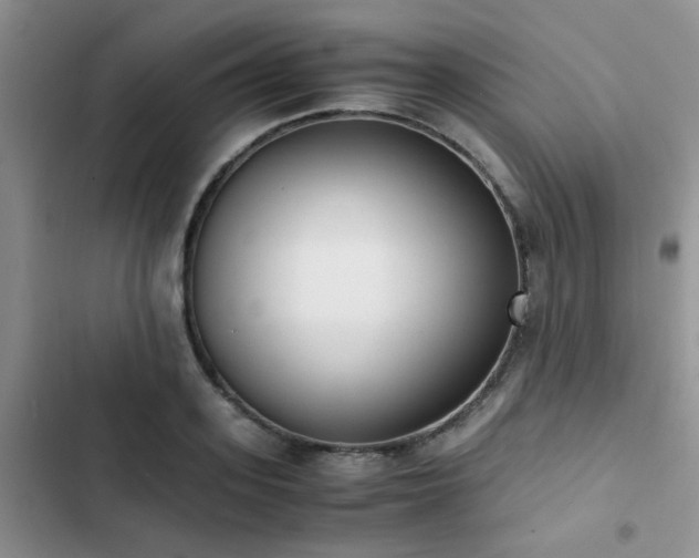 X0000102860939200808181438