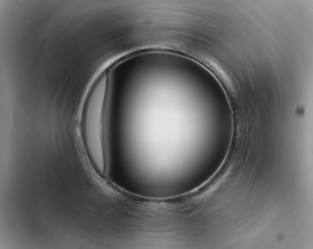 X0000102860940200808181438