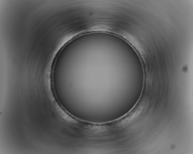 X0000102860941200808181438