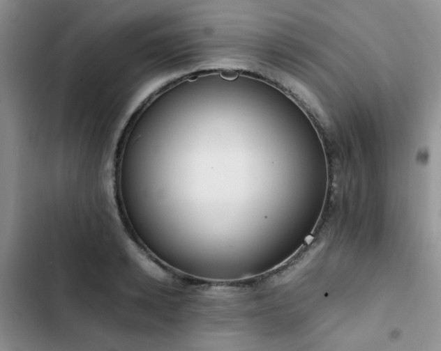 X0000102860942200808181438