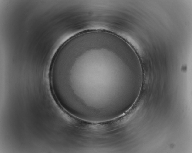 X0000102860943200808181438