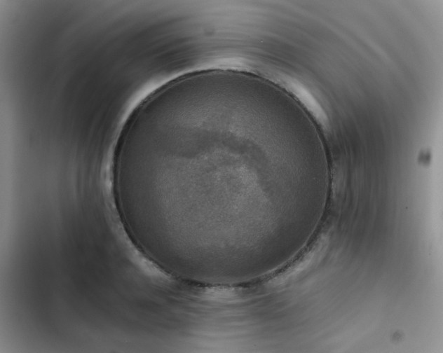 X0000102860944200808181438