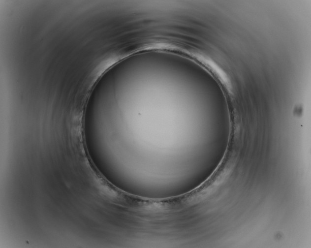 X0000102860945200808181438