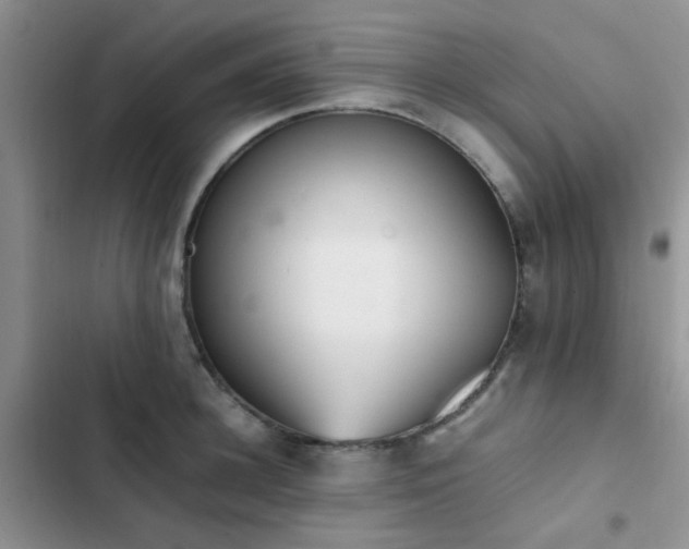 X0000102860948200808181438