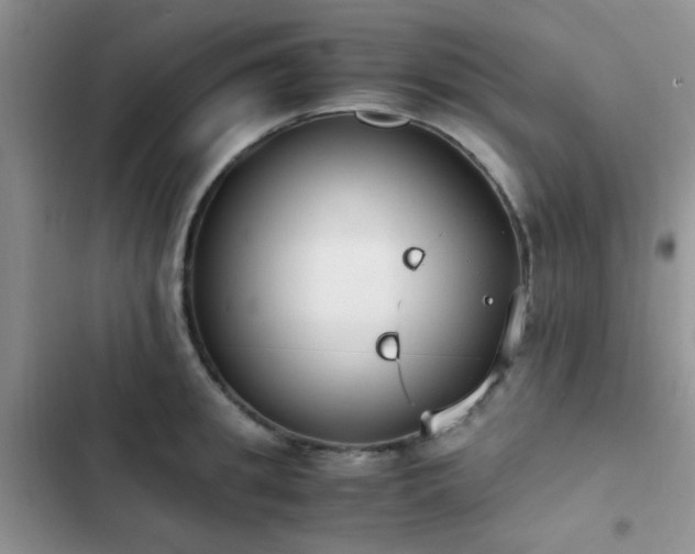 X0000102860949200808181438