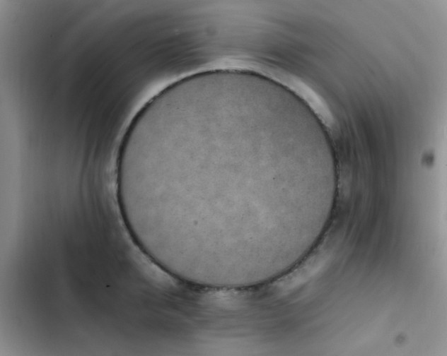 X0000102860950200808181438