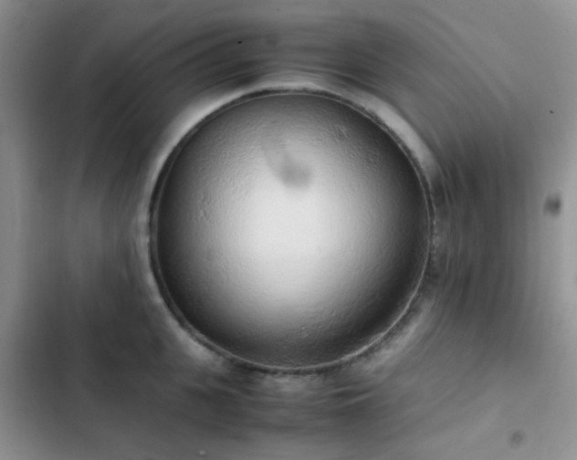 X0000102860951200808181438