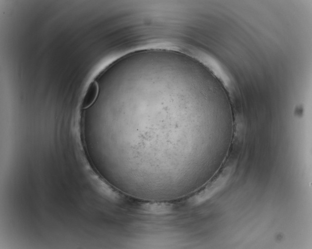 X0000102860952200808181438