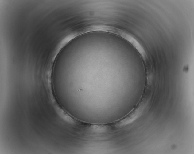 X0000102860954200808181438