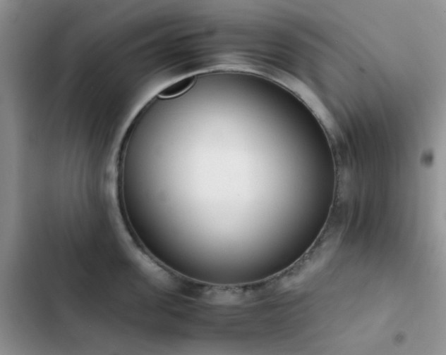 X0000102860955200808181438