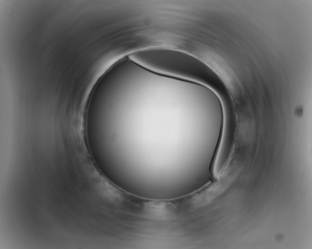 X0000102860956200808181438