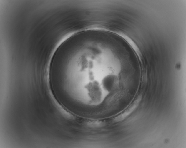 X0000102860957200808181438