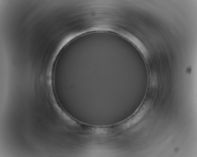 X0000102860958200808181438