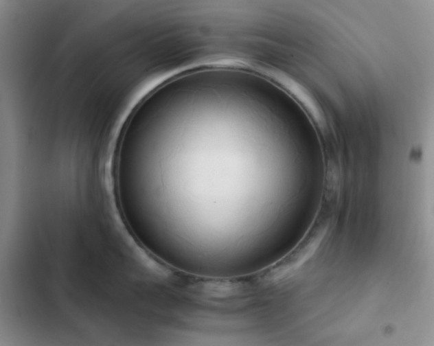 X0000102860959200808181438