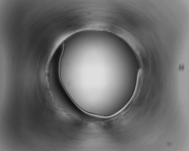 X0000102860960200808181438