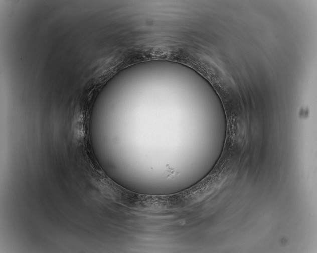 X0000102860962200808181437