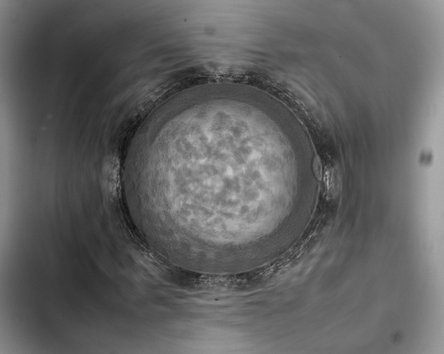 X0000102860963200808181437