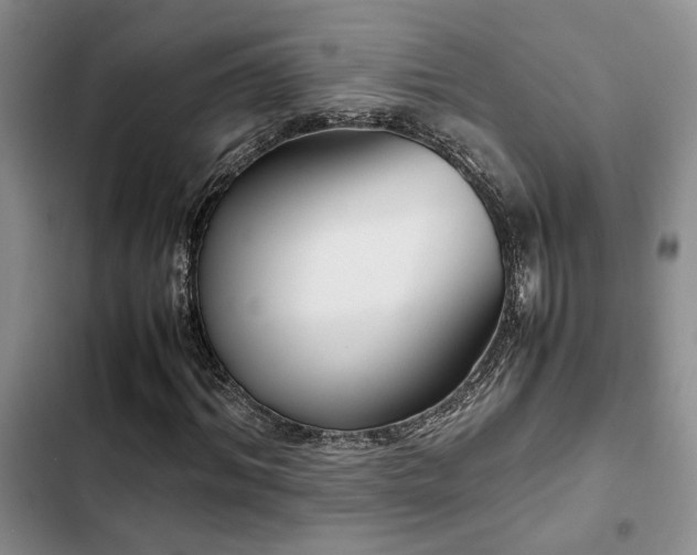 X0000102860964200808181437