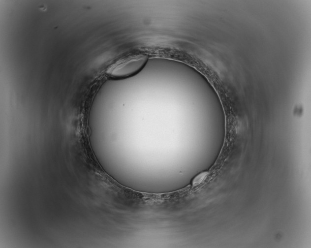 X0000102860965200808181437