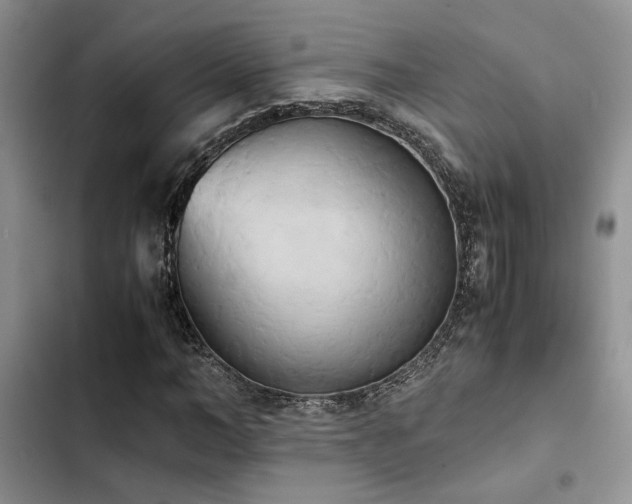 X0000102860966200808181437