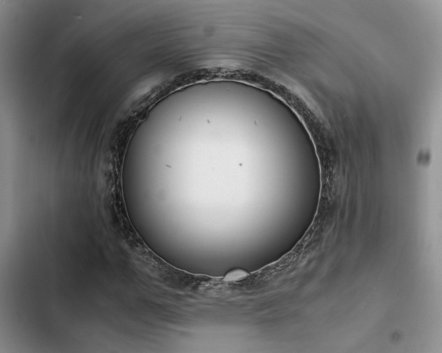 X0000102860967200808181437