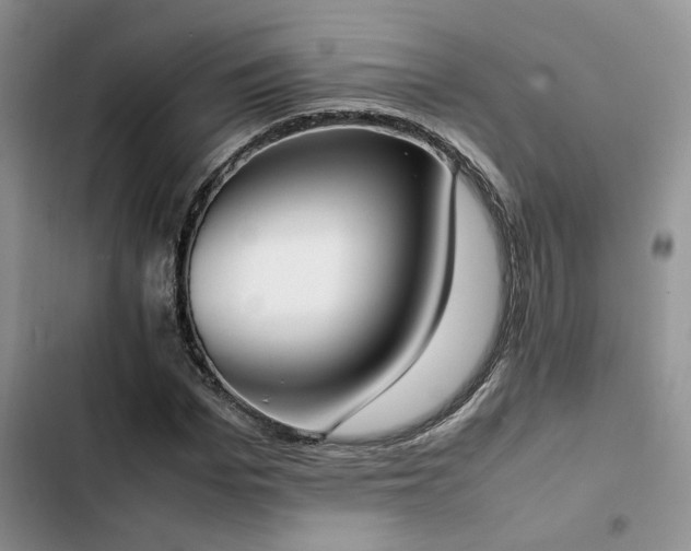 X0000102860969200808181437