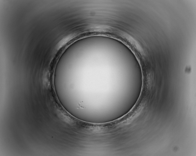 X0000102860970200808181437