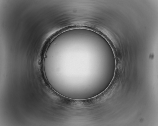 X0000102860971200808181437