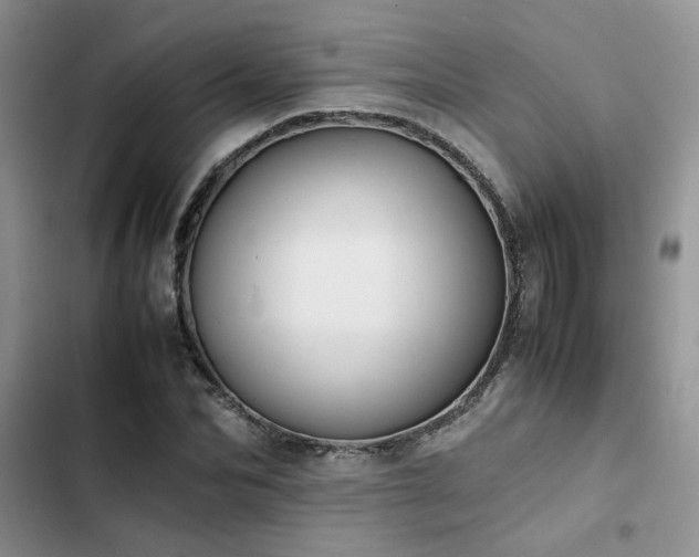 X0000102860974200808181437