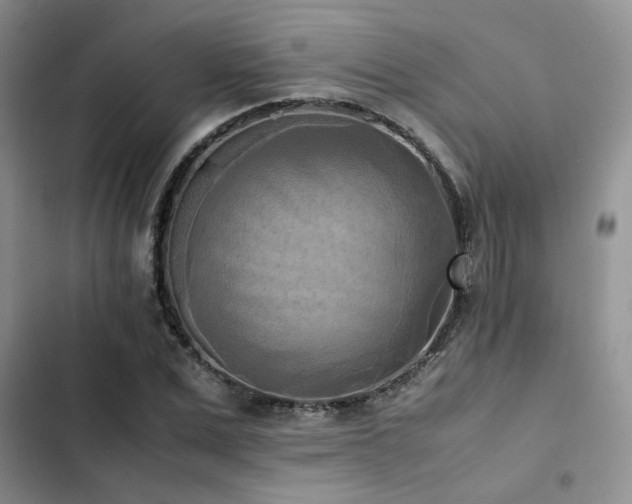 X0000102860975200808181437