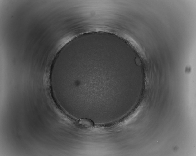 X0000102860977200808181437