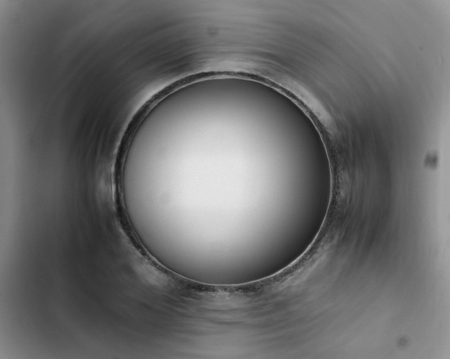 X0000102860980200808181437