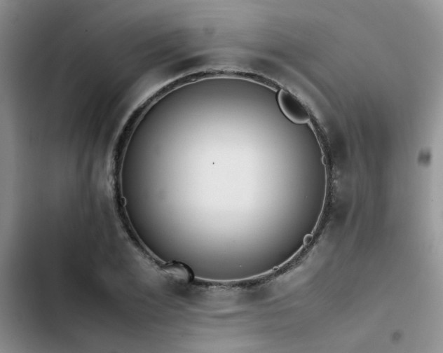 X0000102860981200808181437