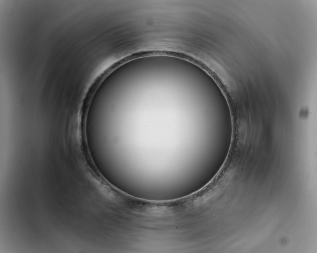 X0000102860982200808181437