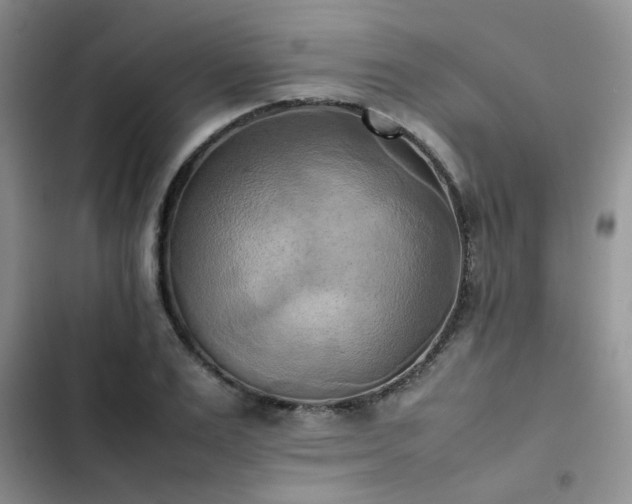 X0000102860983200808181437