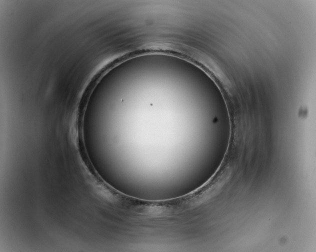 X0000102860984200808181437