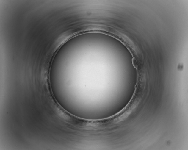 X0000102860985200808181437